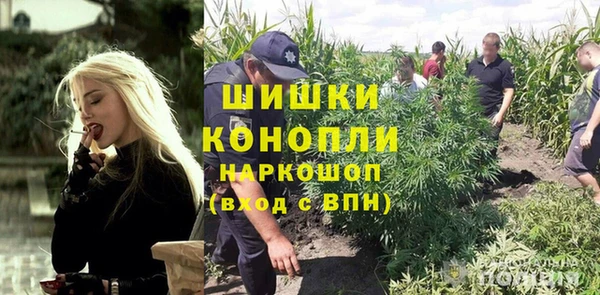 дживик Арсеньев