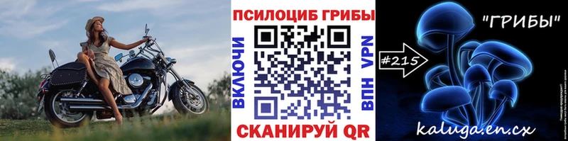 KRAKEN ссылки  Советская Гавань  Галлюциногенные грибы ЛСД 
