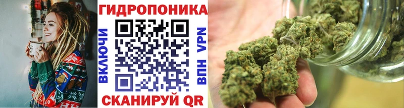Каннабис сатива  где купить наркоту  Советская Гавань 